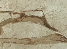 Beige Marbles 15