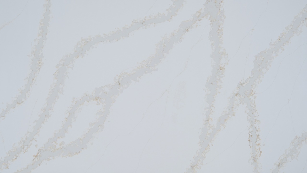 Calacatta Gold Mist slab surface