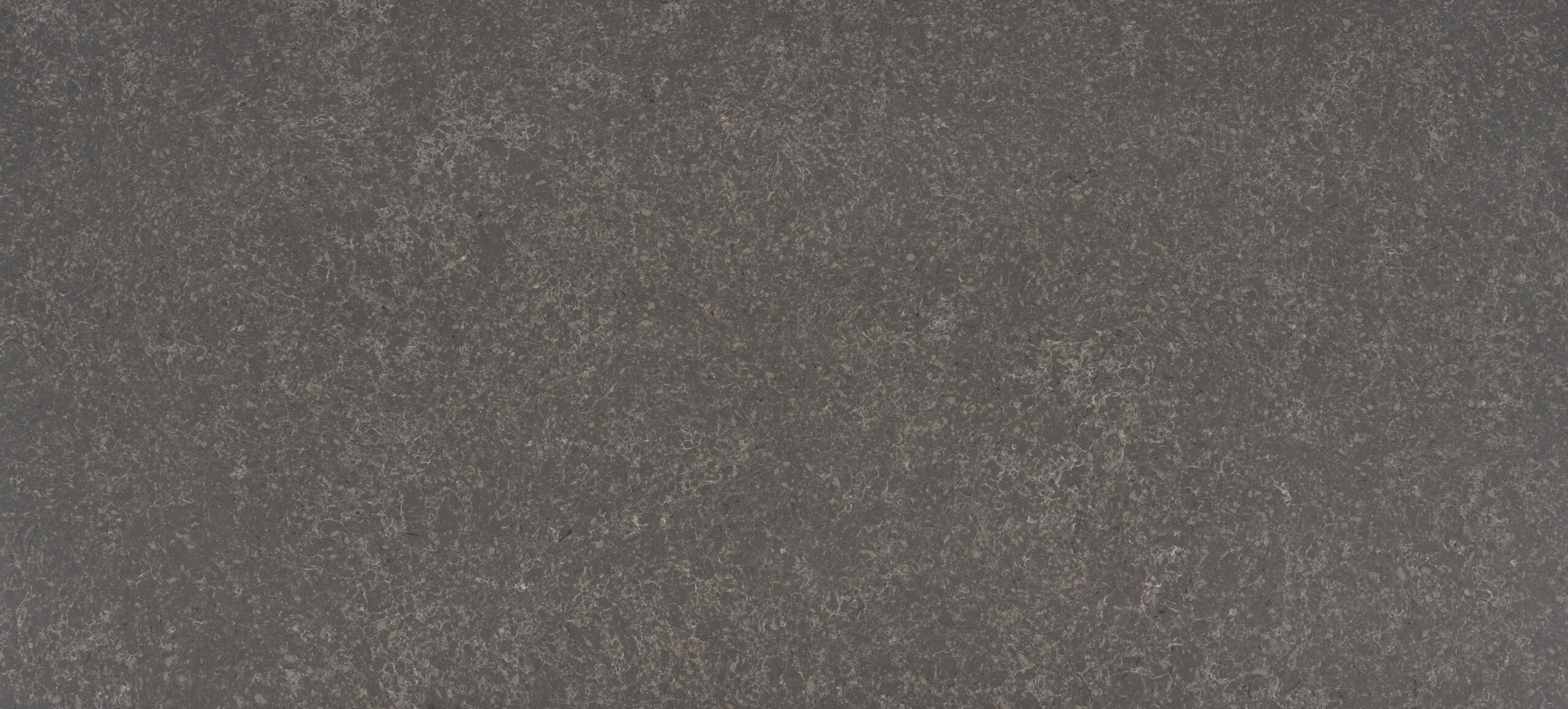 Gris Venato slab surface
