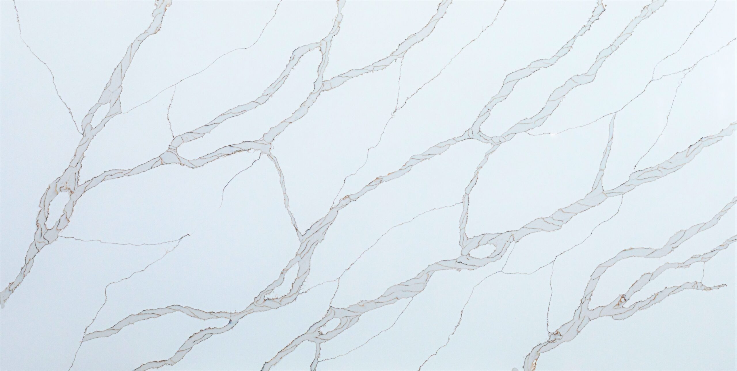 Calacatta Rivolo Full Slab View slab surface