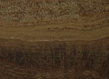 Irish Brown Italian Marble