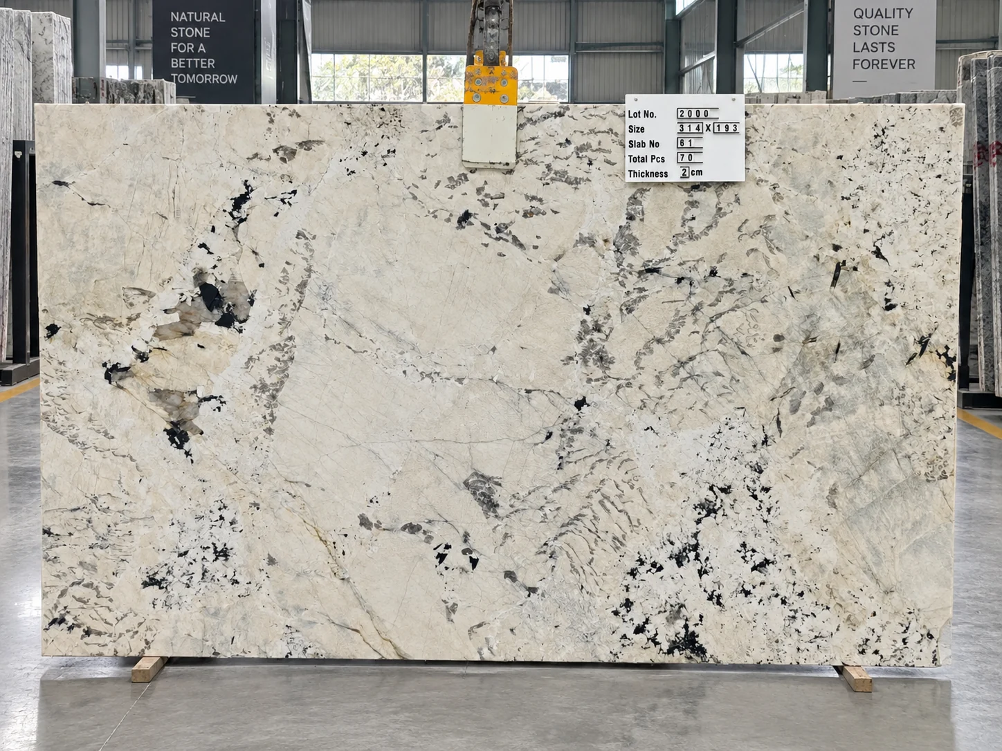 Alabaster White — photograph 3