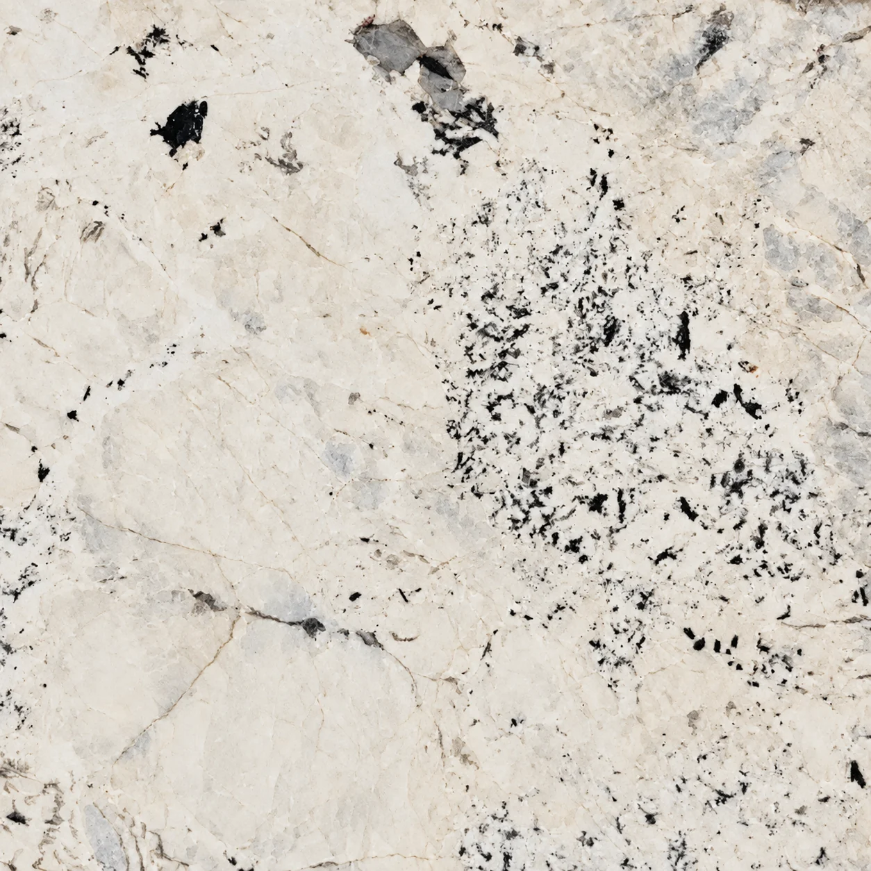 Alabaster White