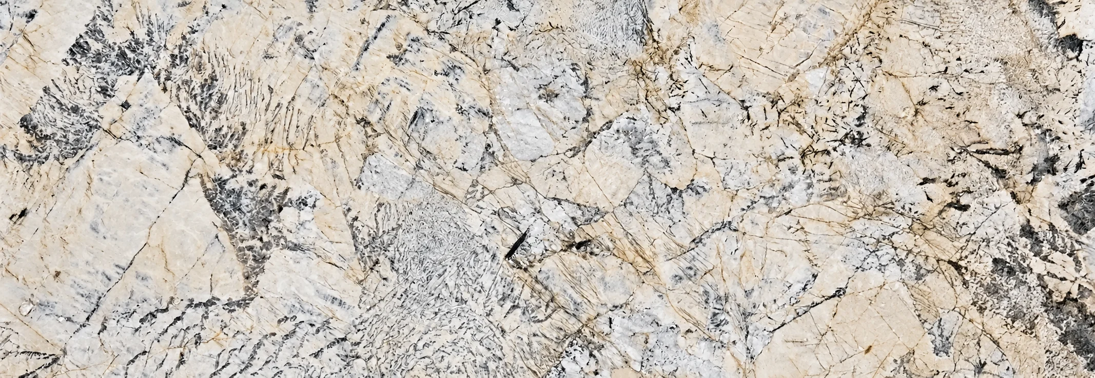 Alpinus White — photograph 4