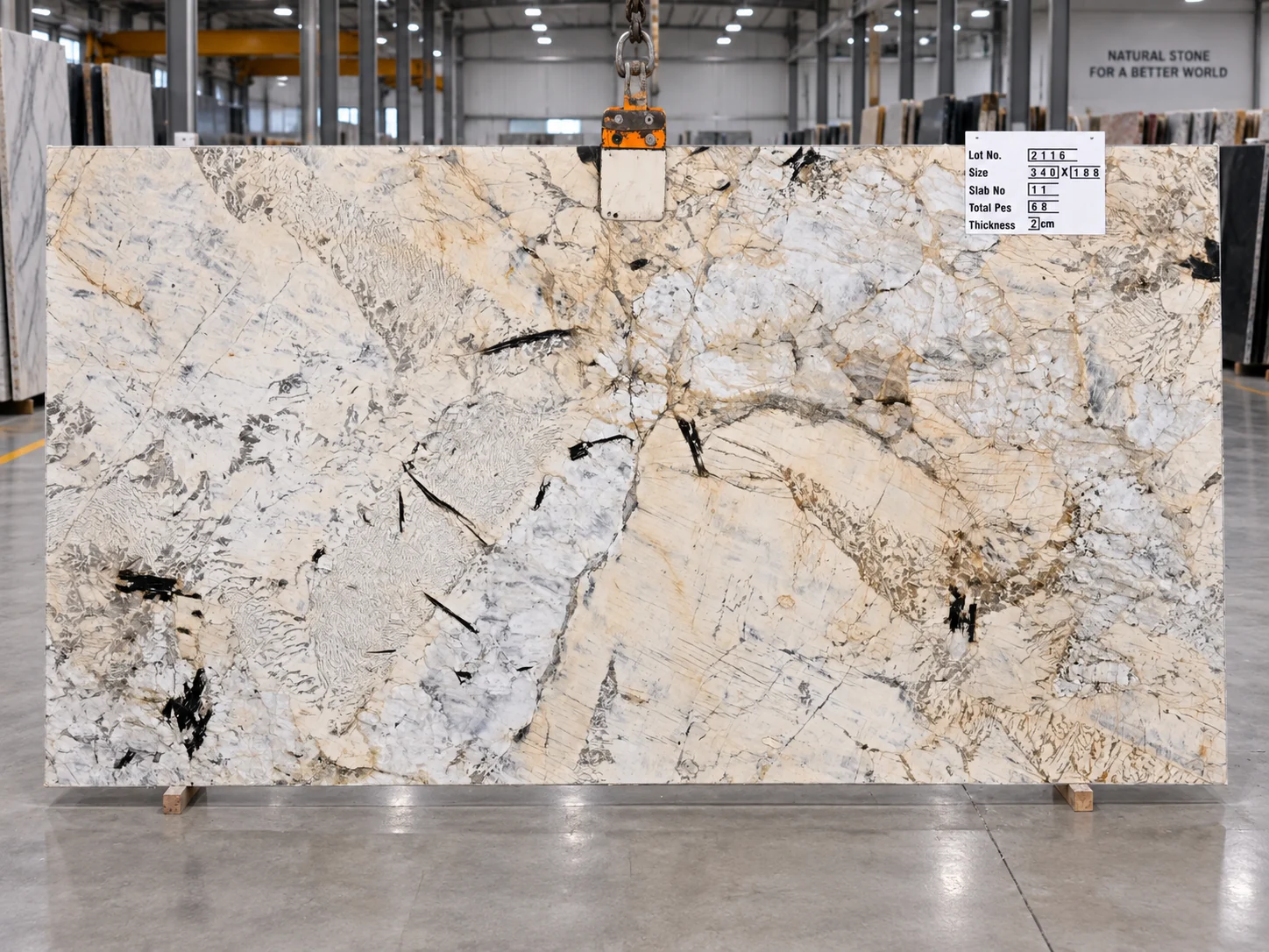 Alpinus White — photograph 5