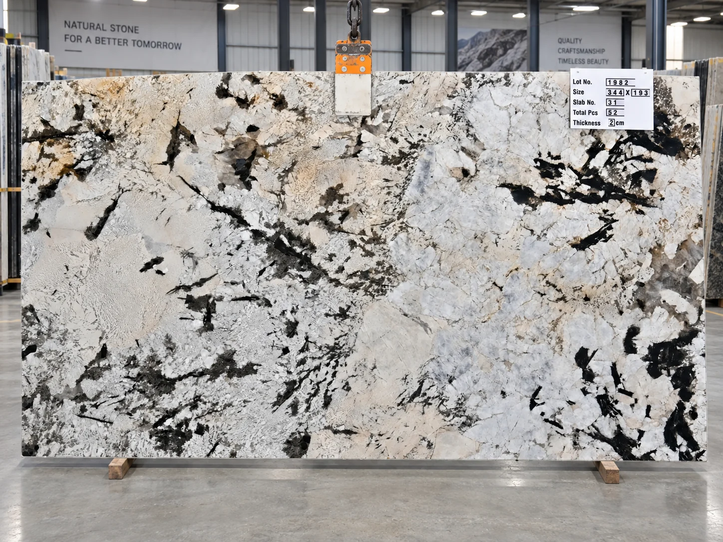Alpinus White — photograph 6