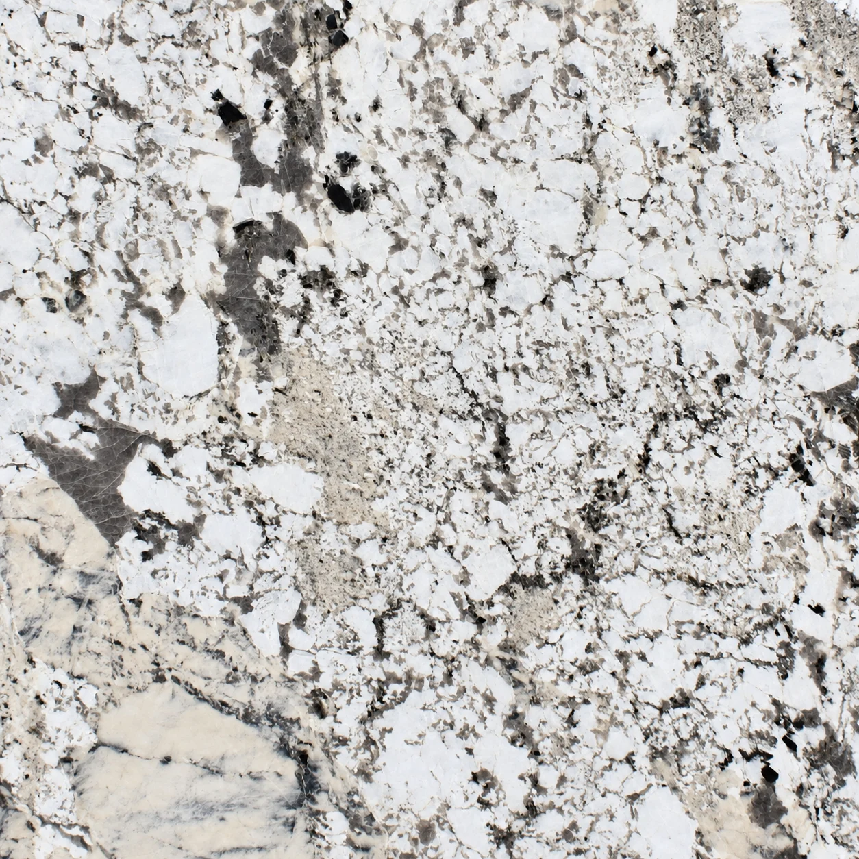Alpinus White