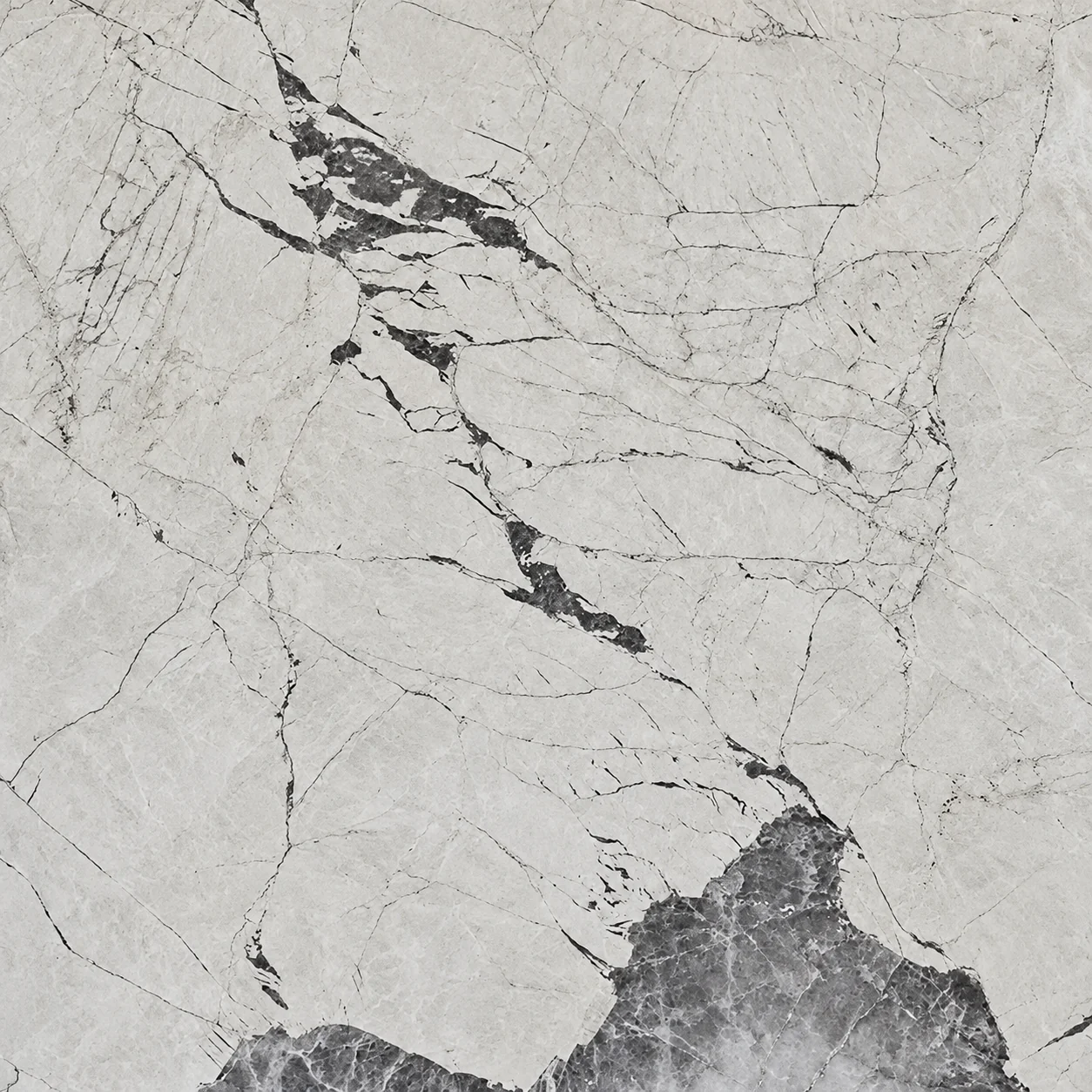 Antolini White — photograph 2