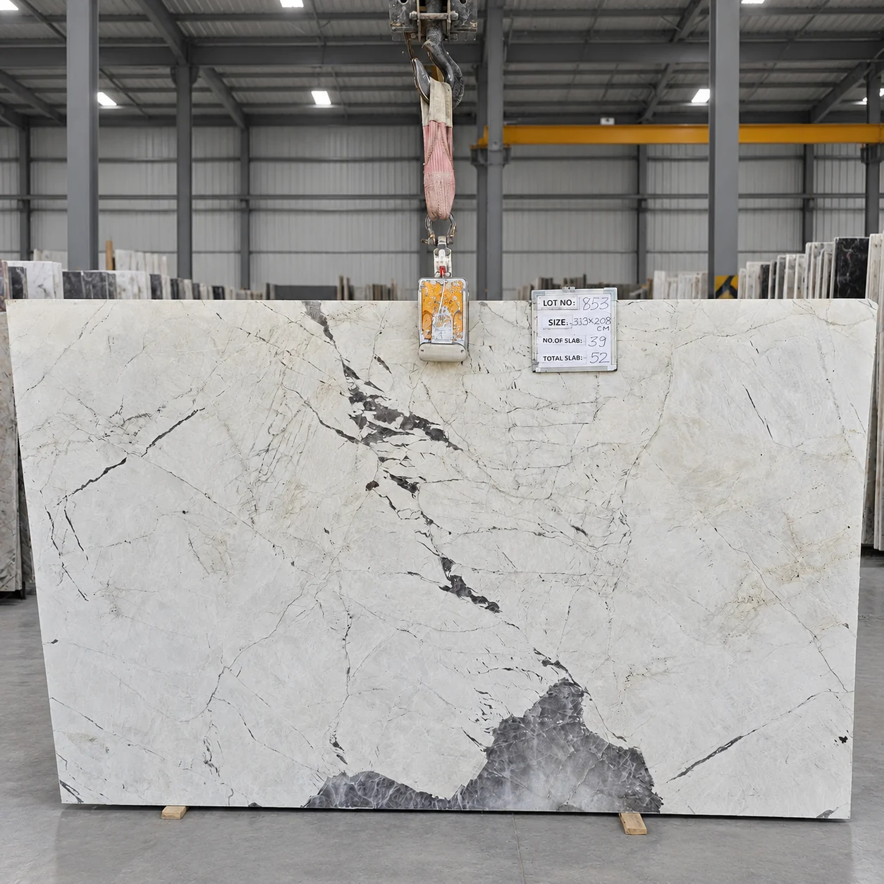 Antolini White — photograph 3