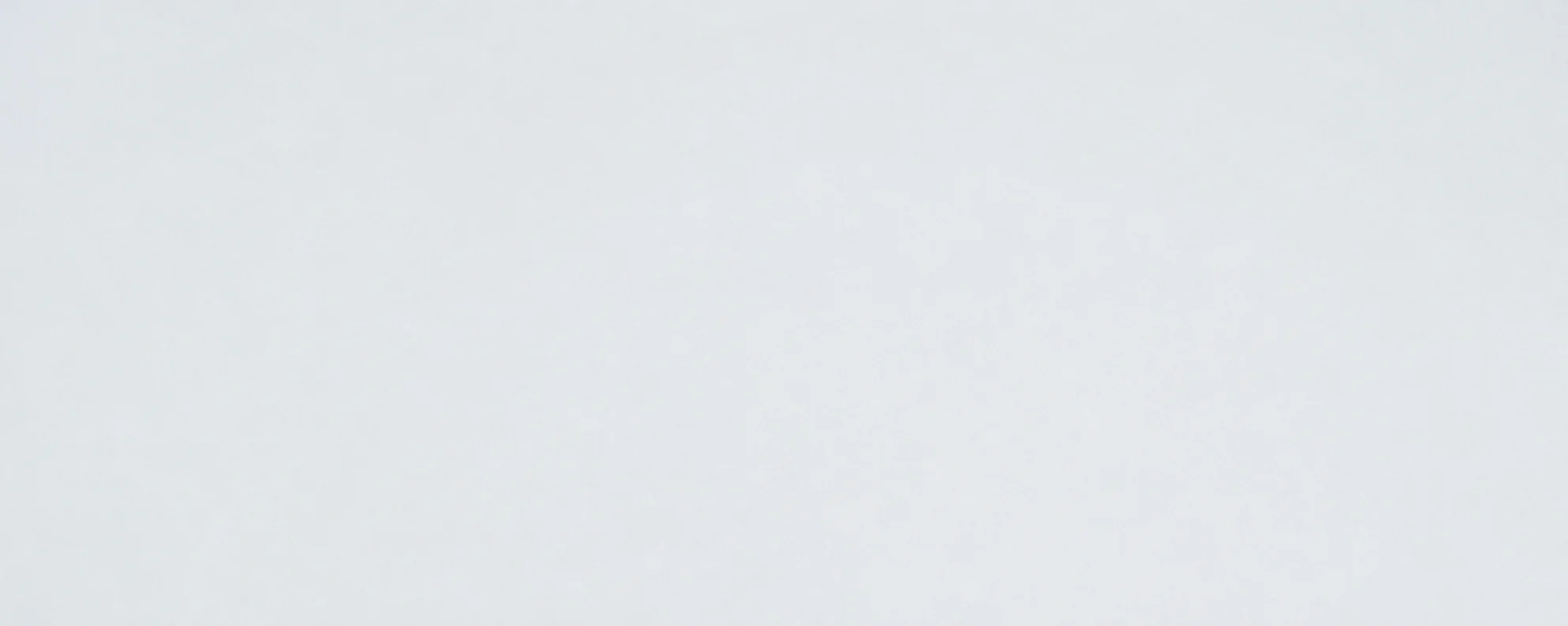 Arctic White — photograph 2
