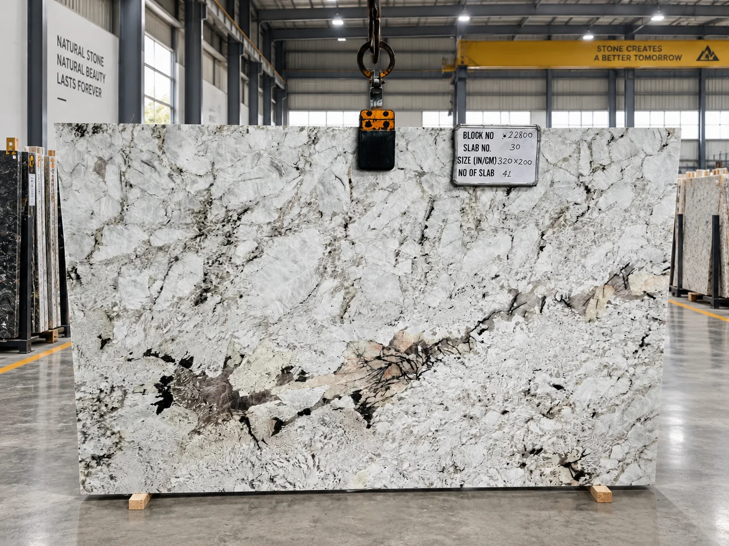 Atlantic White — photograph 2