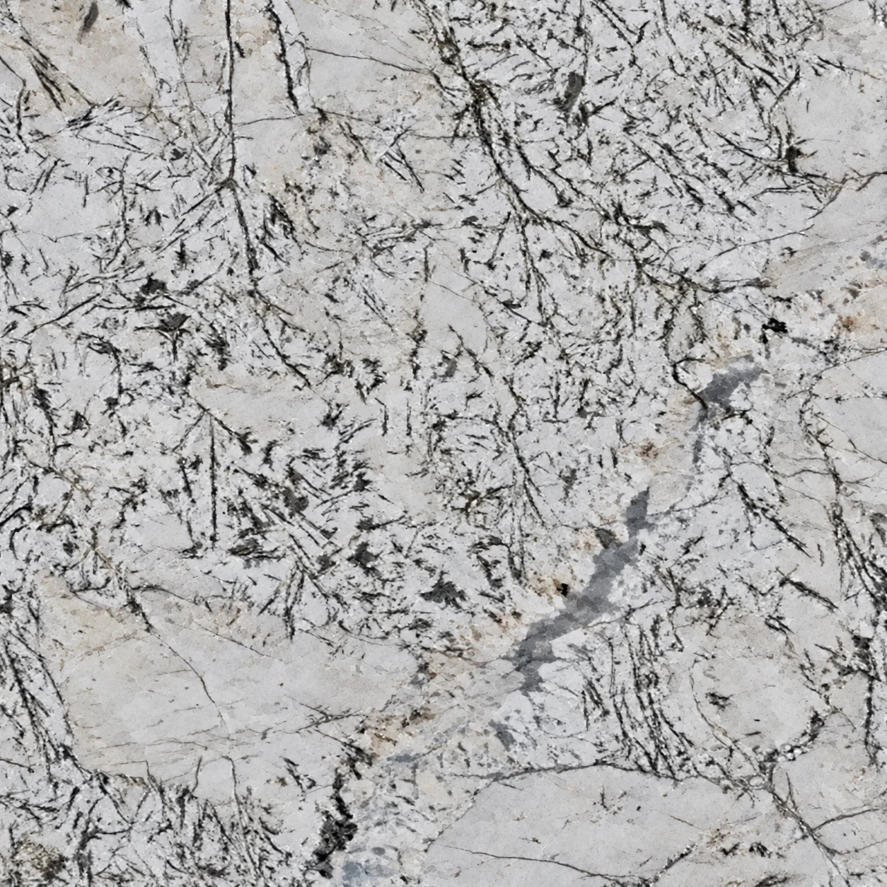Bianco White
