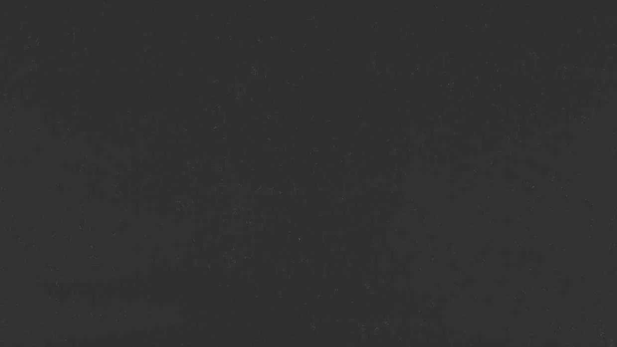 Black Canvas