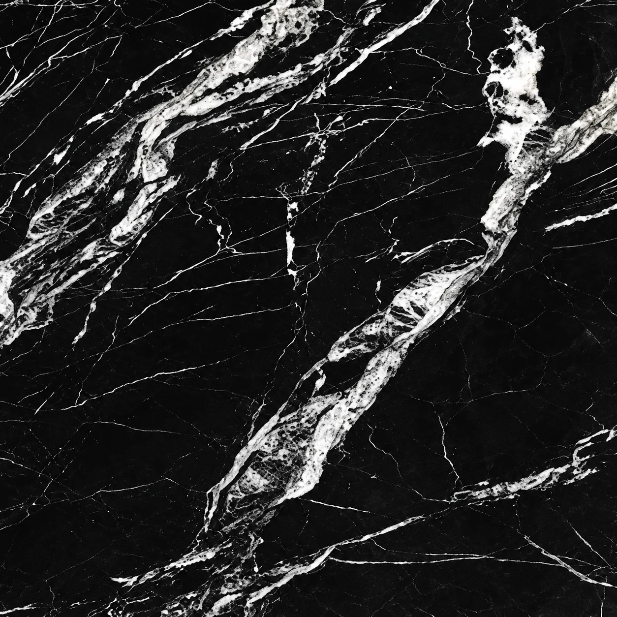 Black Marine — photograph 3