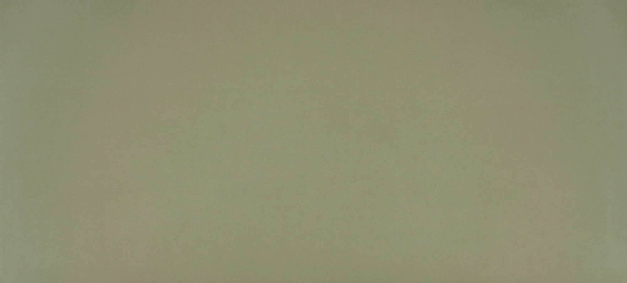 Desert Brown — photograph 2