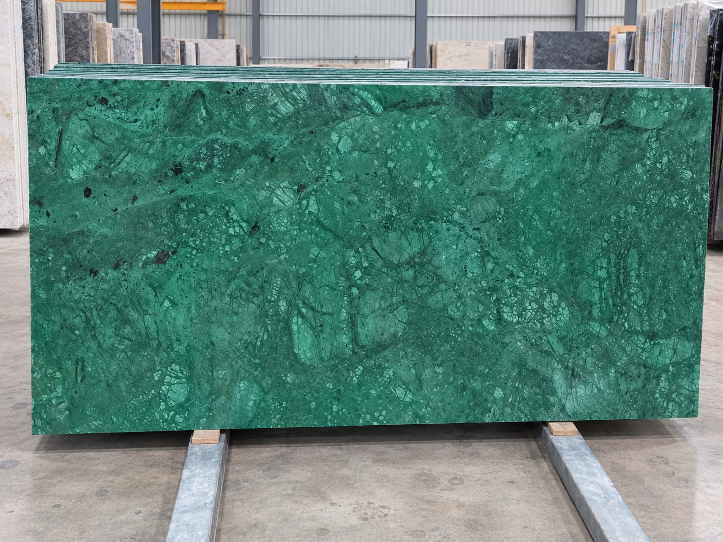 Forest Green — photograph 3