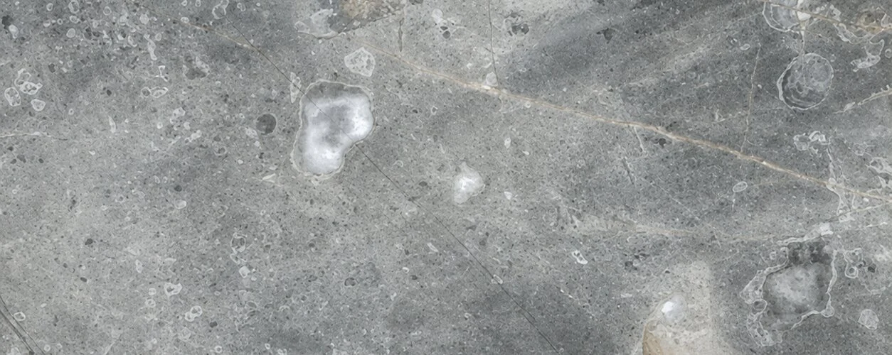 Grey Flurry Italian — photograph 2