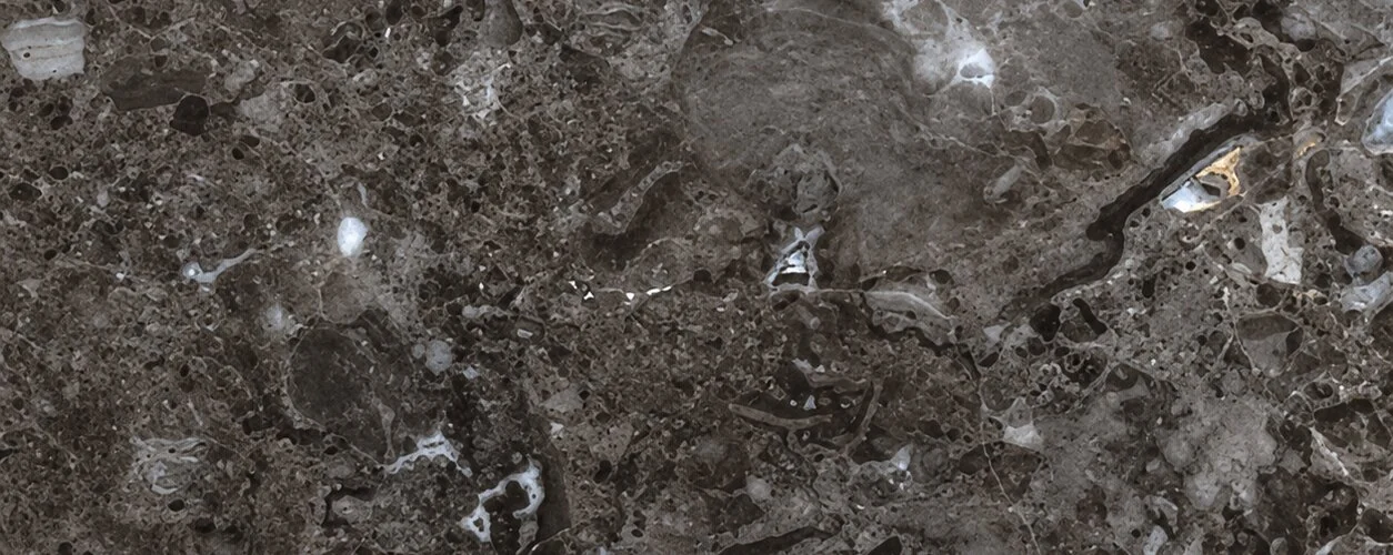 Grey William Italian — photograph 2