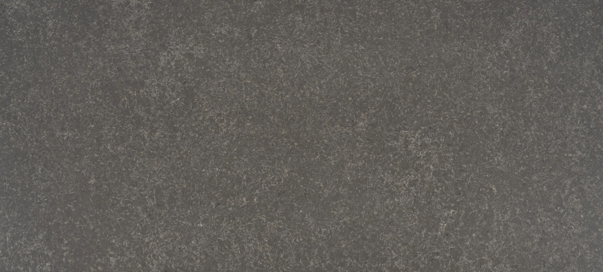Gris Venato
