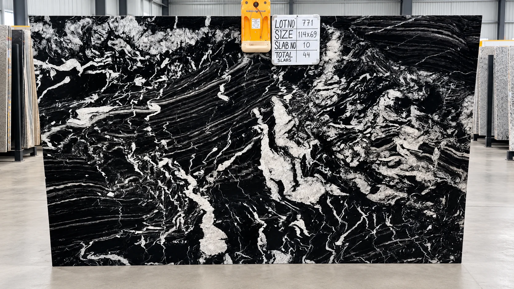 Iconic Black — photograph 3
