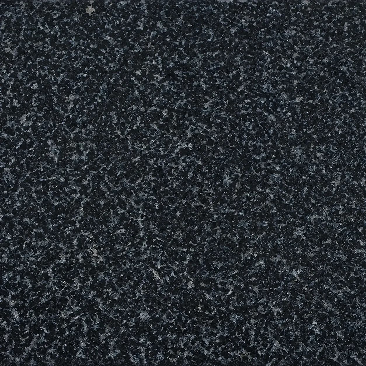 Impala Black