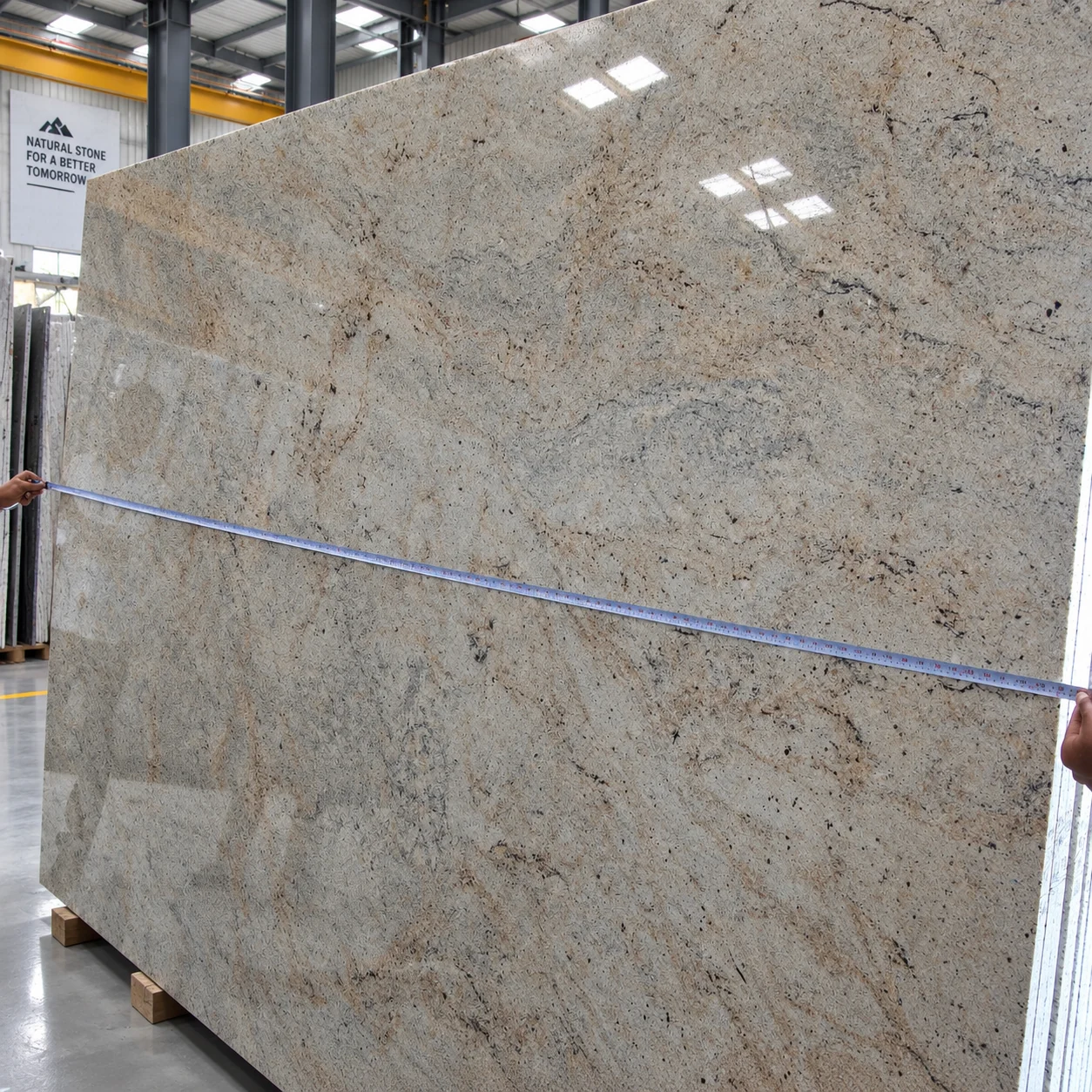 Ivory Fantasy — photograph 3