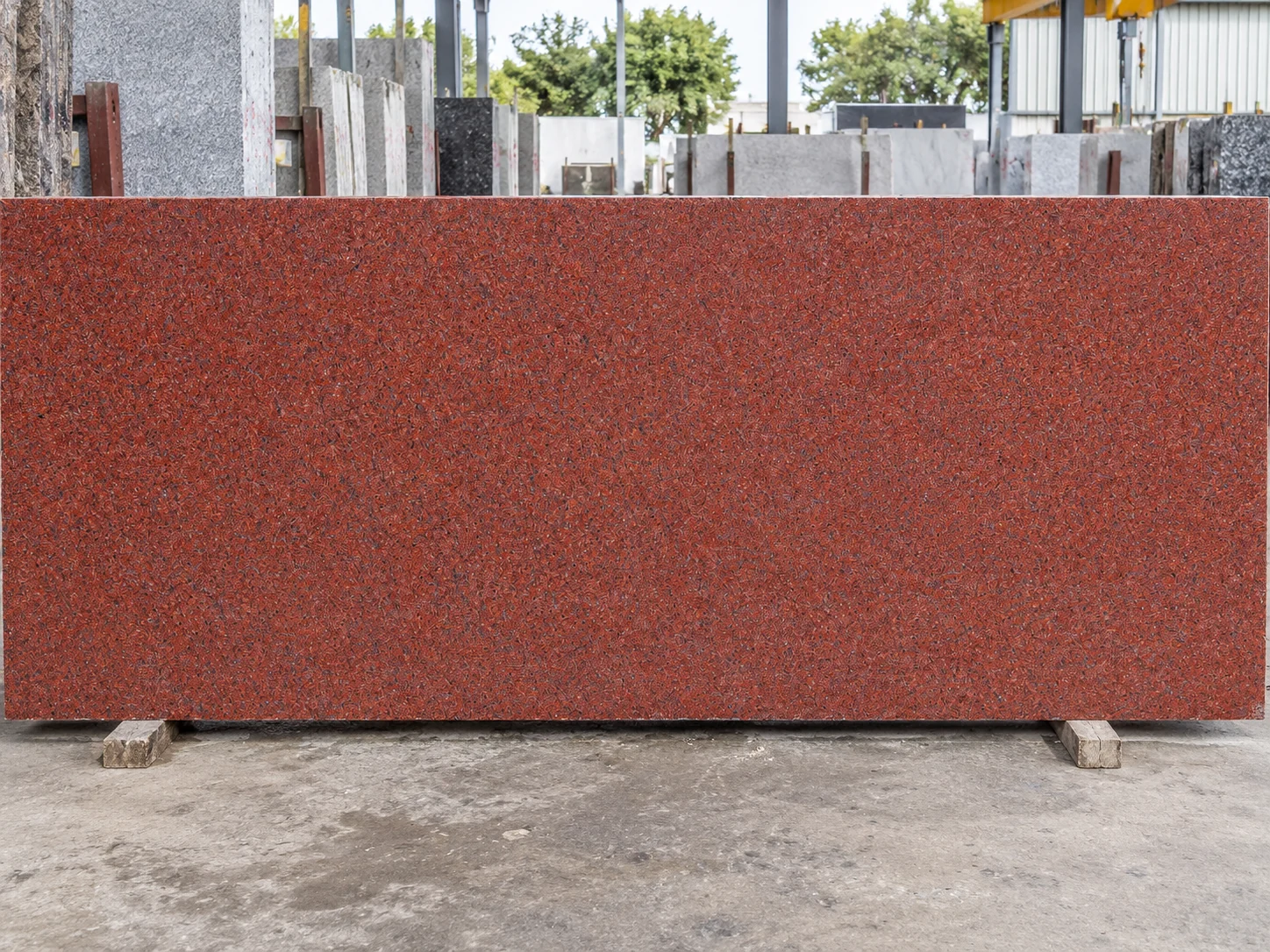 Jhansi Red — photograph 2
