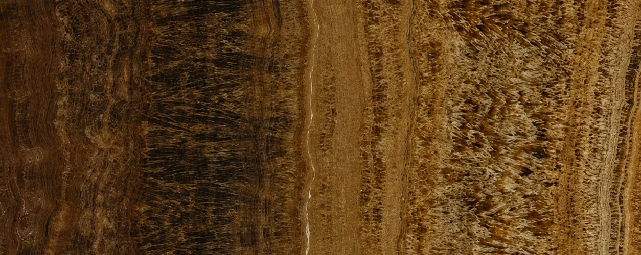 Mexican Brown Italian — photograph 2
