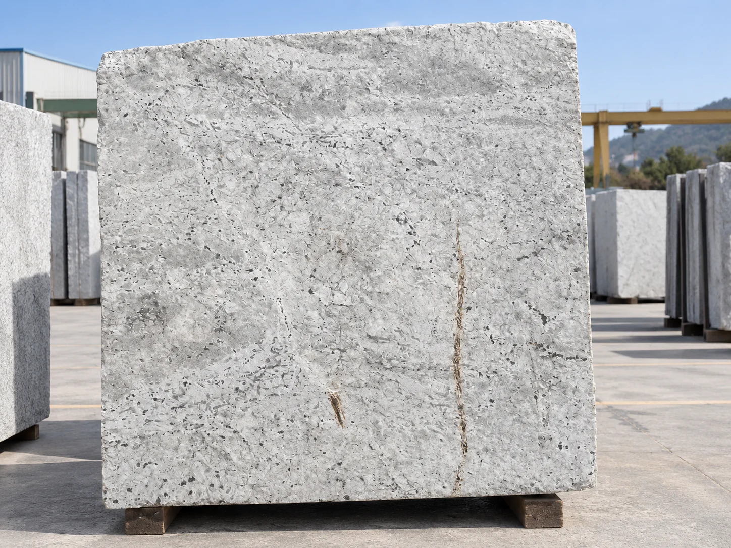 New Kashmir White — photograph 3