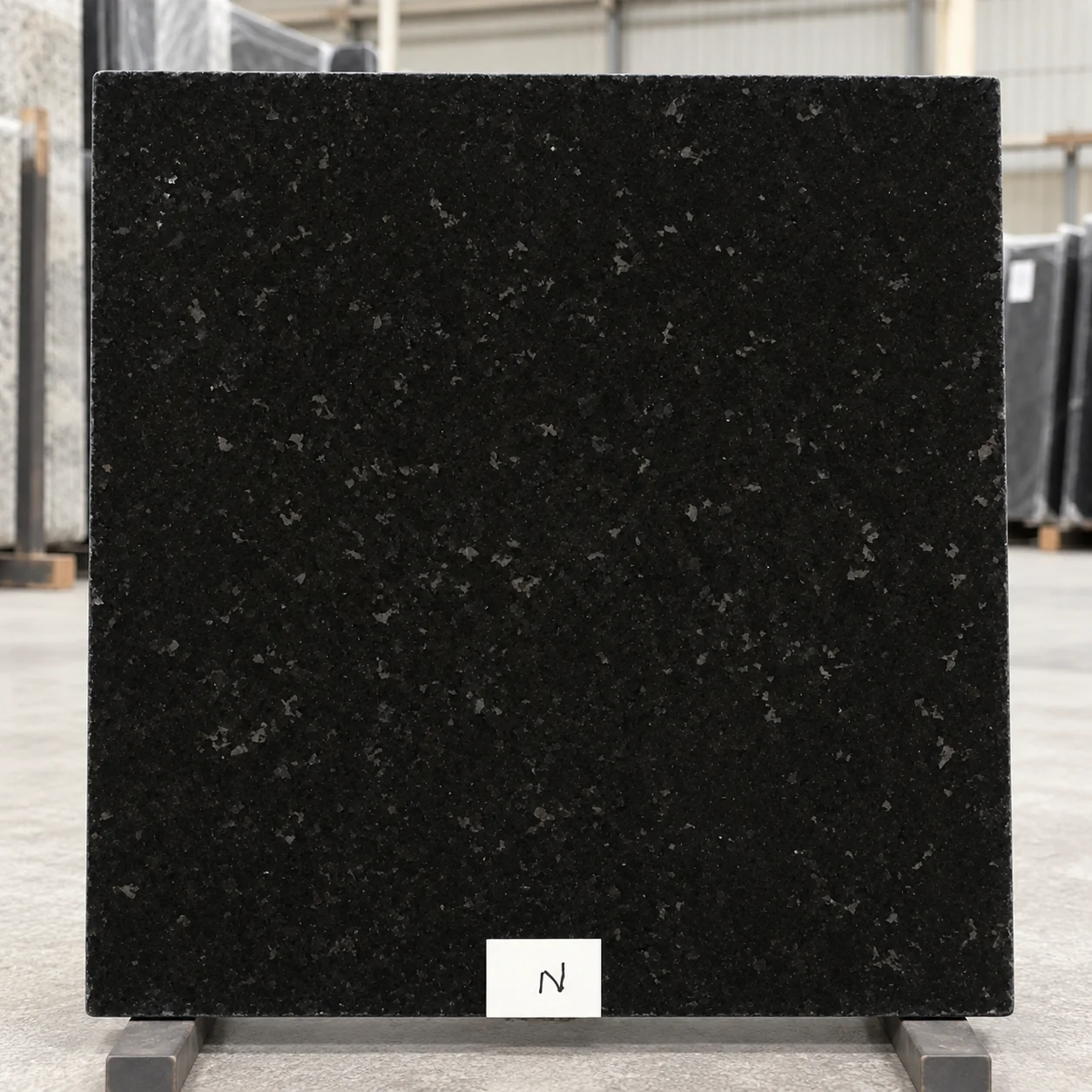 Nova Black — photograph 3