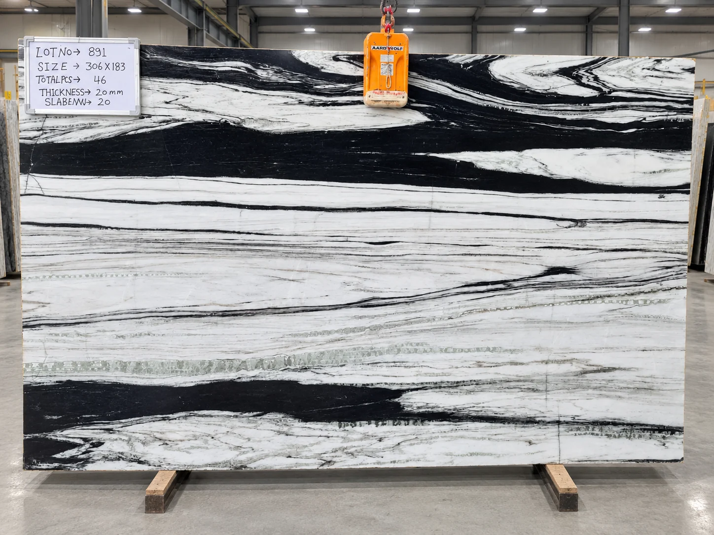 Panda White — photograph 4
