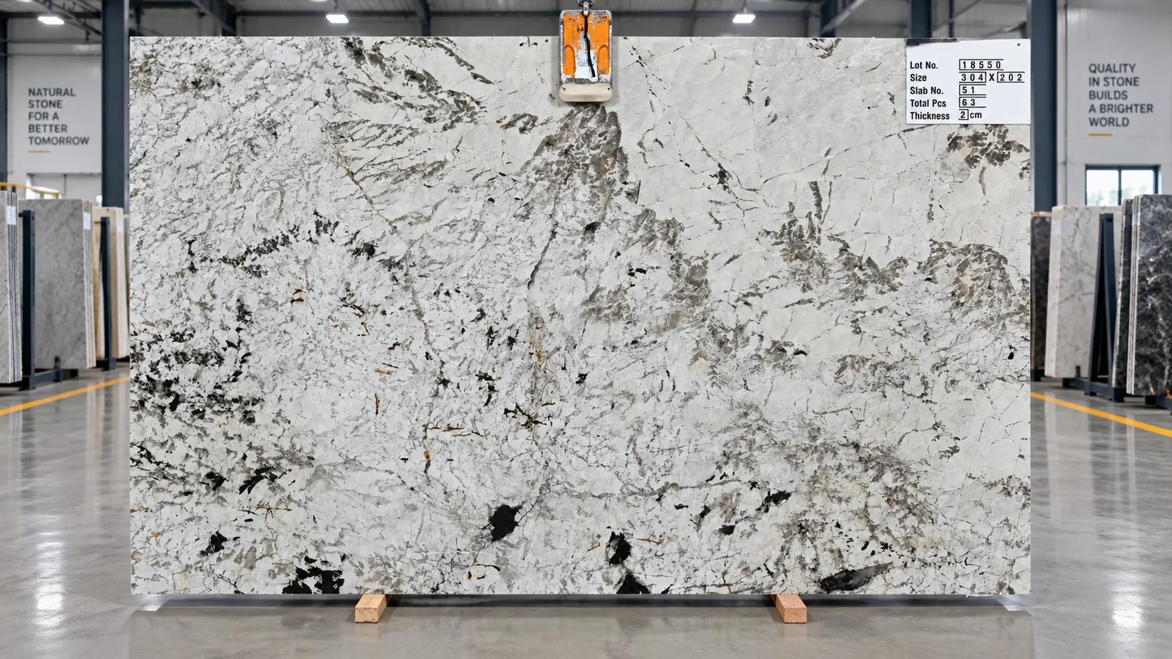 Picasso White — photograph 2