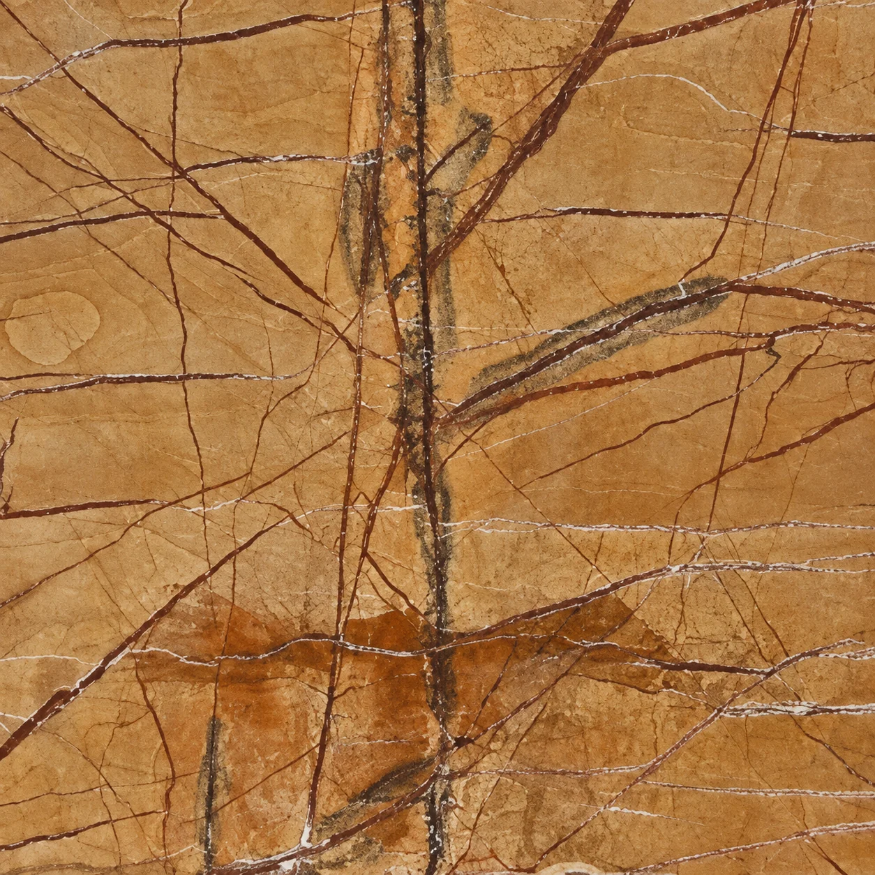 Rain Forest Golden