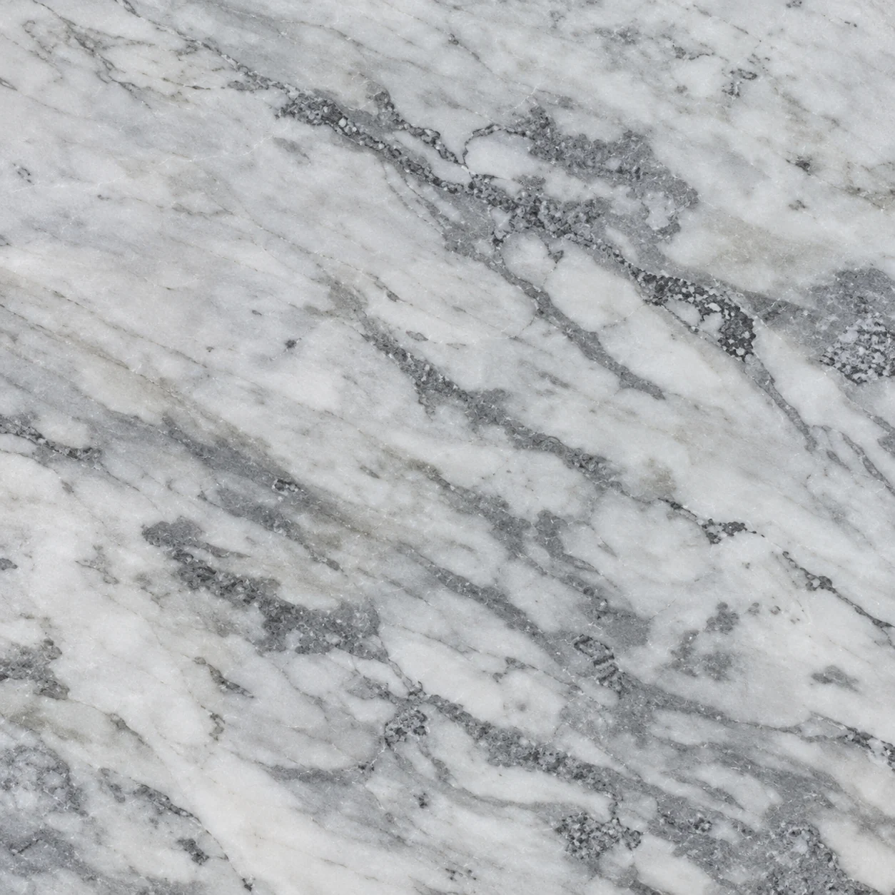 Rajnagar White