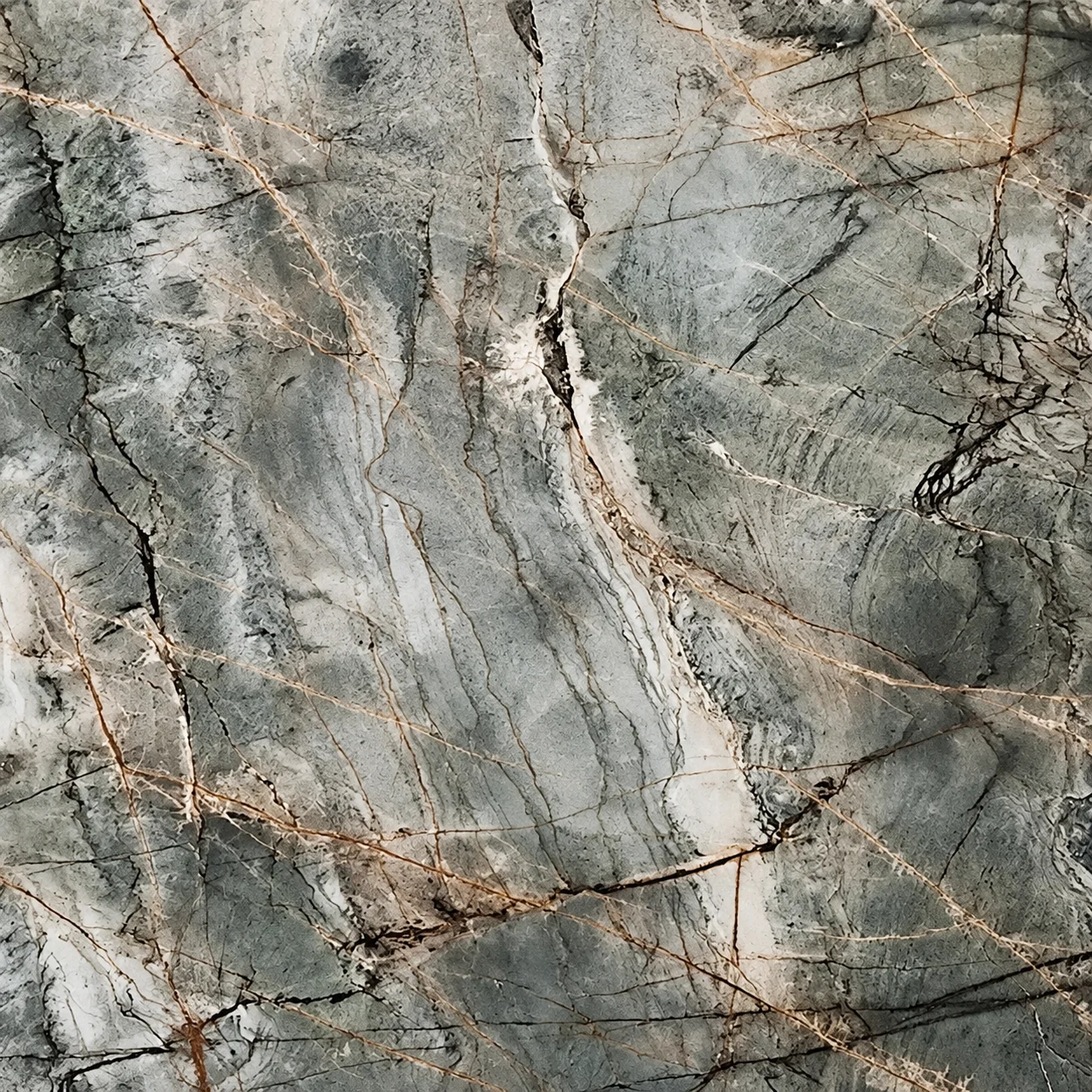 Tempest Blue — photograph 2