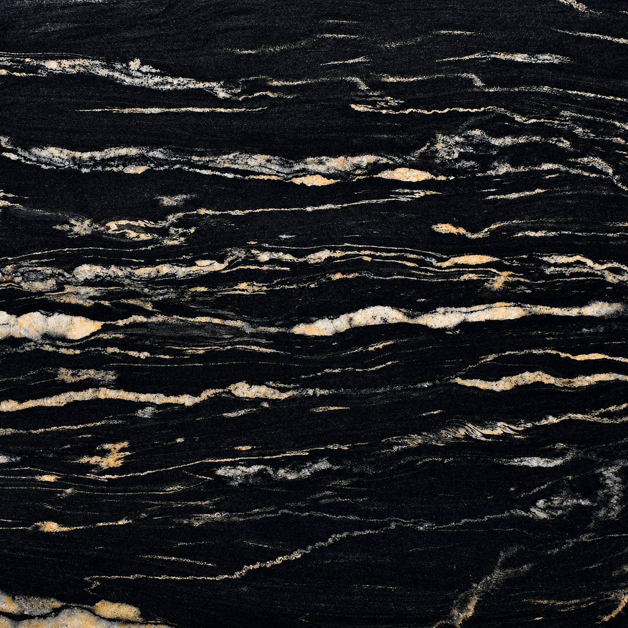 Titanium Gold — photograph 2
