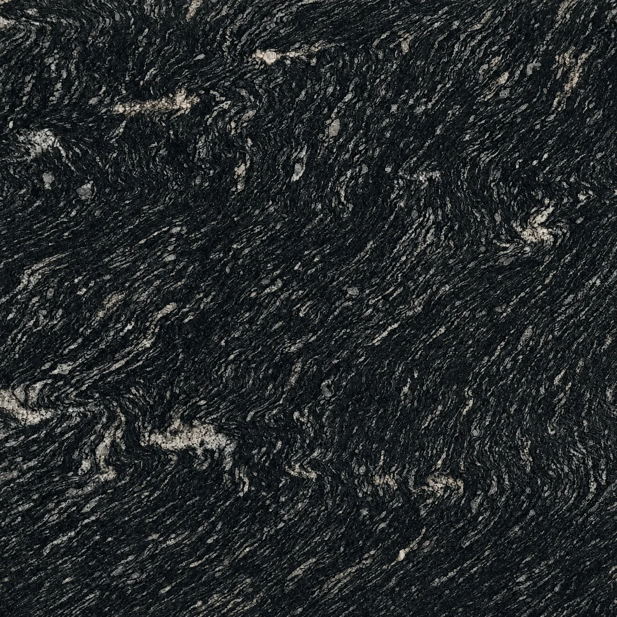 Zebra Black