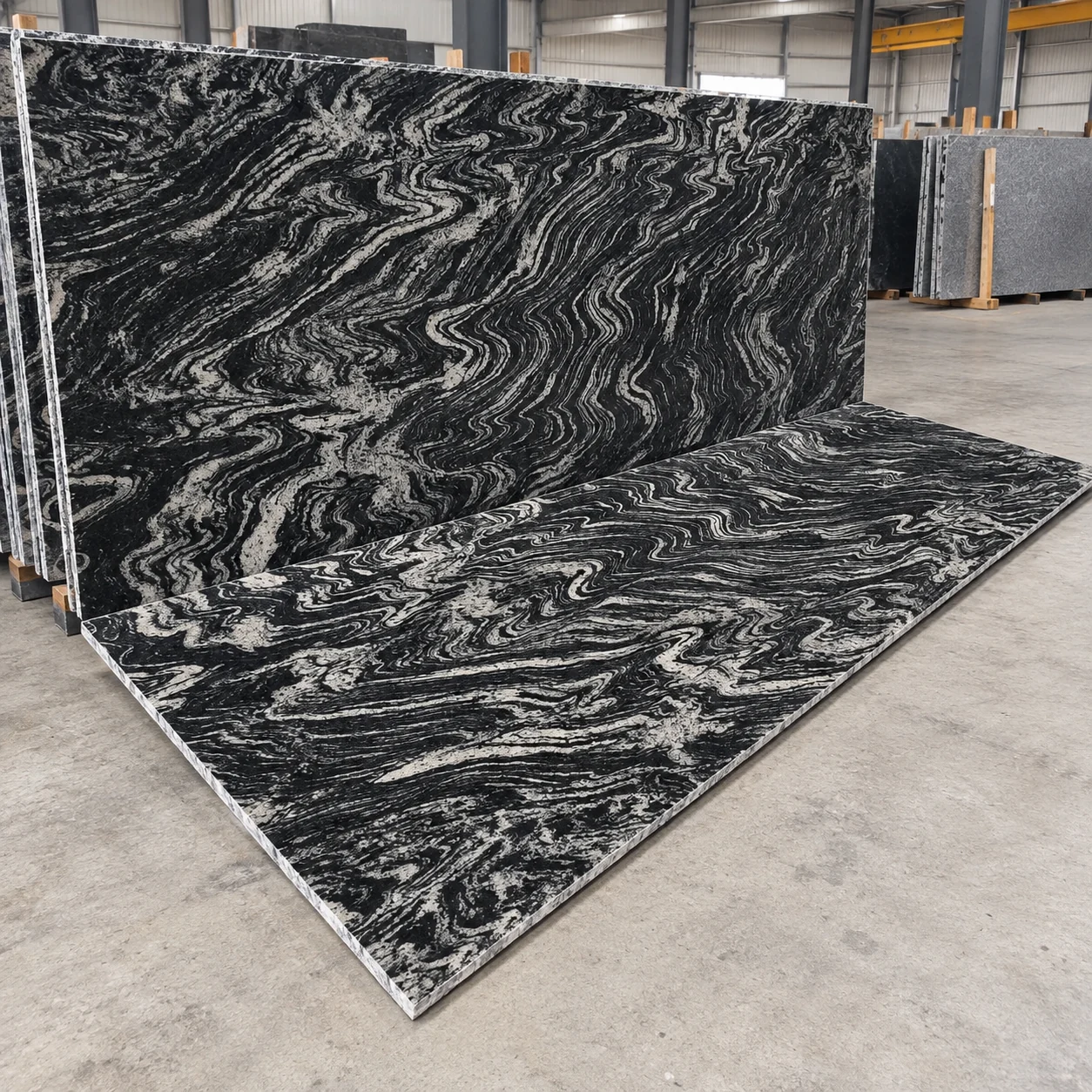 Zebra Black — photograph 2
